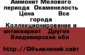 Аммонит Мелового периода. Окаменелость. › Цена ­ 2 800 - Все города Коллекционирование и антиквариат » Другое   . Владимирская обл.